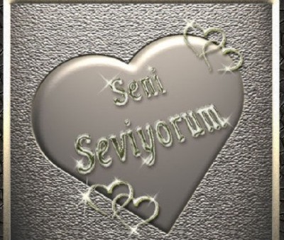 Seni seviyorum